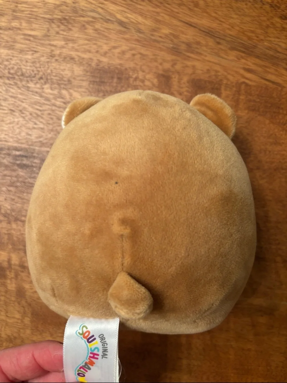 Squishmallows Brown and White Bear Plush